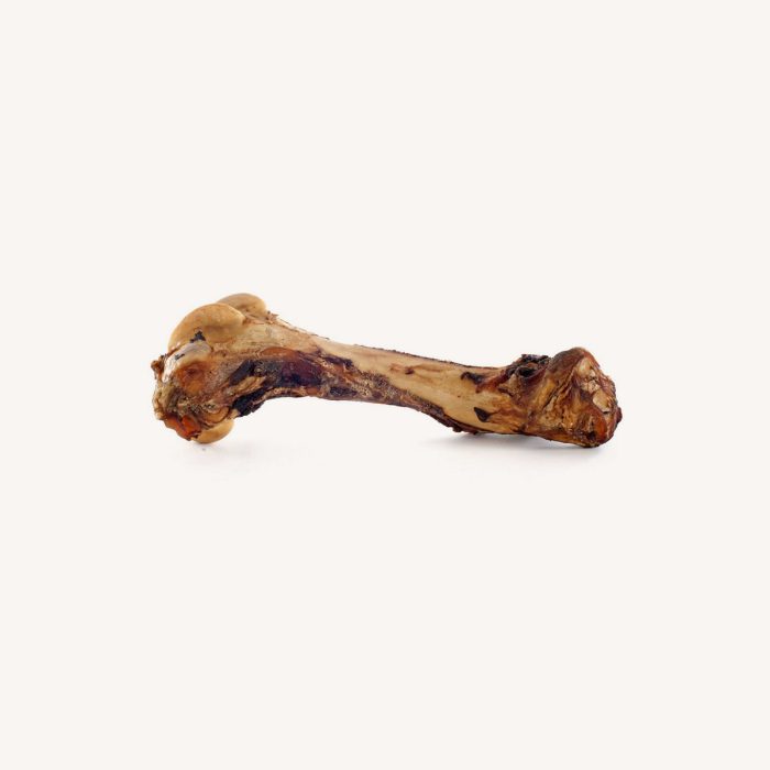 Dog Bone